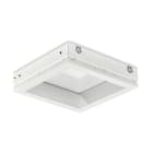 PHILIPS LIGHTING - Nature Connect, 60W, 4200lm, Variabile, 60x60cm.