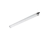 PHILIPS LIGHTING - Tubolare impermeabile, 39 W, L1200 mm, 5000 lm, 4000 K, Fascio extra largo, Opale, IP68, IK10, PSU TW1.