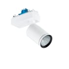 PHILIPS LIGHTING - StyliD Evo, Compact, Maxos fusion variant, 29.5 W, 4000 lm, PremiumWhite, 3000 K, CRI90, DALI, Interact Ready, Riflettore in ST770S 39S/PW930 DIA-VLC HVWB BK.