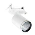 PHILIPS LIGHTING - Stylid Evo, proiettore compatto, 39 W, 4900 lm, 3000 K, DALI, Interact Ready, Riflettore metallo alta riflessione ovale - Fascio verticale.