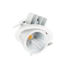 PHILIPS LIGHTING - LuxSpace Accent Performance a gomito, 35W, D155mm, 2800lm, Fresh meat, 3000K, CRI90, Riflettore metallo fascio largo alta riflessione.