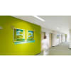 Miniatura Immagine ambientale 3