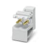 Miniatura Immagine principale 1