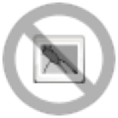 PHOENIX CONTACT - RC-Z2068/VPE250 CONNESSIONE