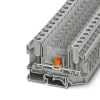 Miniatura Immagine principale 1