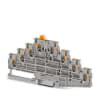 Miniatura Immagine principale 1