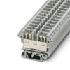 Miniatura Immagine principale 1