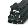 Miniatura Immagine principale 1