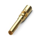 PHOENIX CONTACT - CC1,5-TS-2,50FPE K/L AU PIN PER CONN. PO