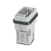 Miniatura Immagine principale 1