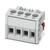 Miniatura Immagine principale 1