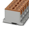 Miniatura Immagine principale 1
