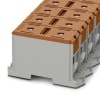 Miniatura Immagine principale 1
