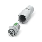 PHOENIX CONTACT - IPD P 5P2,5 F GY CONNETTORE