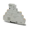 Miniatura Immagine principale 1