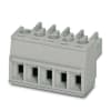 Miniatura Immagine principale 1