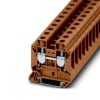 Miniatura Immagine principale 1