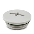 PHOENIX CONTACT - A-INSP-M25-68N-P-LG TAPPO