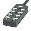 Miniatura Immagine principale 1