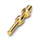 PHOENIX CONTACT - SM-36KP008 CONTATTO