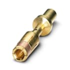 PHOENIX CONTACT - SM-36KS016 CONTATTO A CRIMPARE 1623972