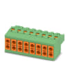Miniatura Immagine principale 1