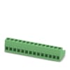 Miniatura Immagine principale 1