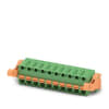 Miniatura Immagine principale 1