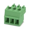 Miniatura Immagine principale 1