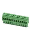 Miniatura Immagine principale 1