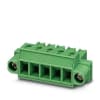 Miniatura Immagine principale 1