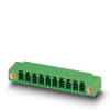 Miniatura Immagine principale 1