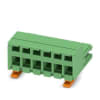 Miniatura Immagine principale 1