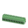 Miniatura Immagine principale 1