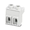 Miniatura Immagine principale 1