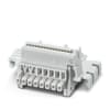 Miniatura Immagine principale 1