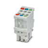 Miniatura Immagine principale 1