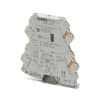 Miniatura Immagine principale 1