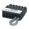 Miniatura Immagine principale 1