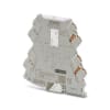 Miniatura Immagine principale 1
