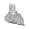 Miniatura Immagine principale 1