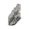 Miniatura Immagine principale 1