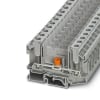 Miniatura Immagine principale 1