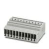 Miniatura Immagine principale 1