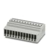 Miniatura Immagine principale 1