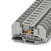 Miniatura Immagine principale 1