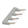 Miniatura Immagine principale 1
