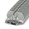 Miniatura Immagine principale 1