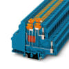 Miniatura Immagine principale 1