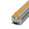 Miniatura Immagine principale 1